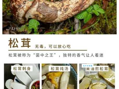 下载梨翱联网-优质且充满趣味的知识交流平台
