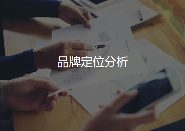 上海淘宝店铺代运营_上海淘宝天猫代运营_上海淘宝网店代运营哪家好-上海淘宝店铺代运营公司